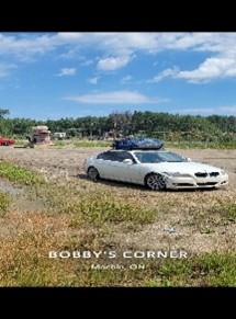 Car in a field