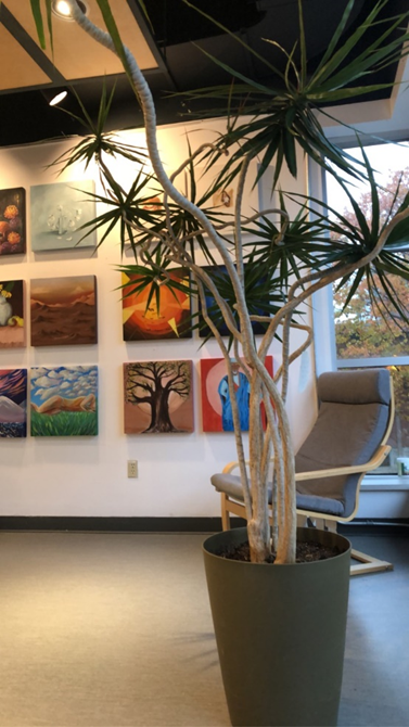 Tall plant and armchair with paintings hung on the wall.