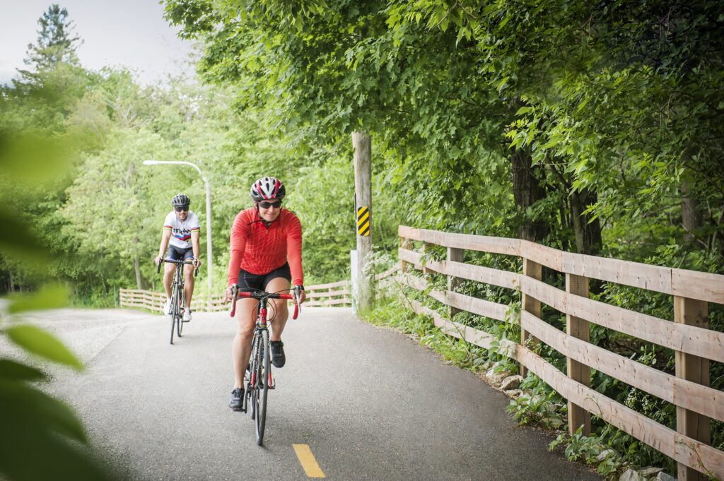 Two cyclists on a bike path in the summer.