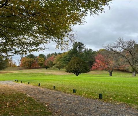 Fall colors and trees
