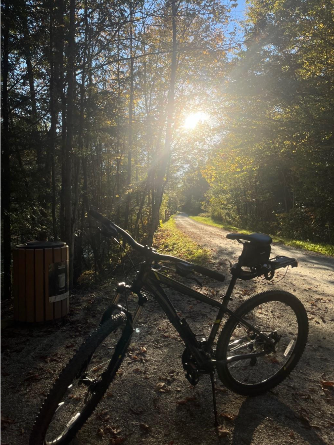 a bike in the middle of a trail in the forest.