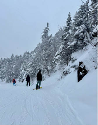 ski in winter